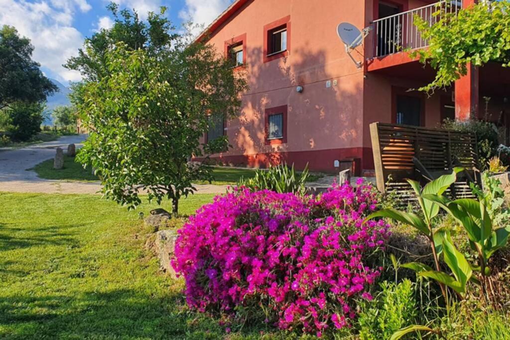 Casa Rural Las Traviesas 2 Candeleda Kültér fotó